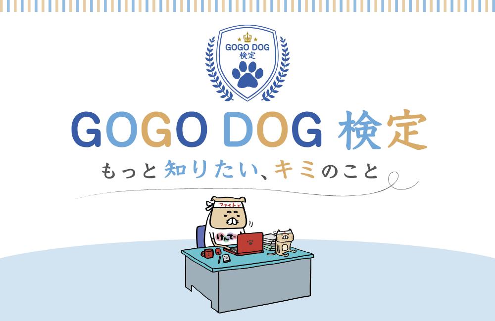 GOGO DOG 検定 もっと知りたい、キミのこと